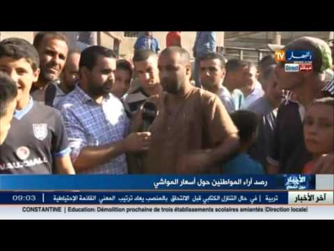 إرتفاع أسعار الأضاحي في الأيام الأخيرة قبل العيد