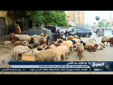 وزراء مالية الاتحاد الأوروبي يؤيّدون قرارًا بتحصيل متأخرات ضرائب أبل