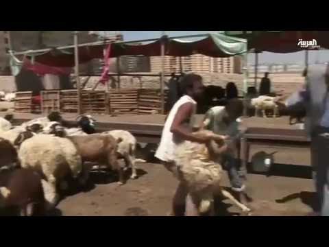 المصريون يستقبلون عيد الأضحى وسط موجة غير مسبوقة من الغلاء