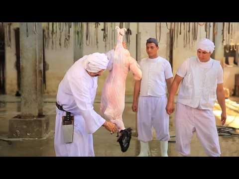 بالفيديو طريقة ذبح خروف العيد