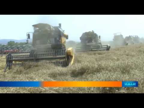 الحكومة ترمي للوصول لـ15 مليون مؤسسة صغيرة ومتوسطة في 2020