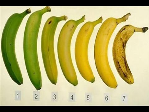 شاهد فيديو يوضّح التفاصيل المثيرة بين 7 موزات