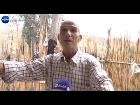 بالفيديو السرطان يفتك بعائلات تقطن شاليهات تنبعث منها مادة الأميونت  في سكيكدة