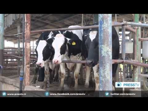 الحرب الإسرائيلية دمرت قطاعي الصحة والزراعة