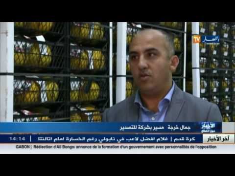 بالفيديو البطيخ الأصفر الجزائري يغزو أسواق فرنسا