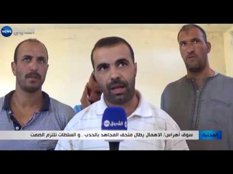 الإهمال يطال متحف المجاهد في الحدب