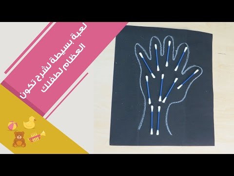 بالفيديو تجربة بسيطة لشرح تركيب العظام للأطفال