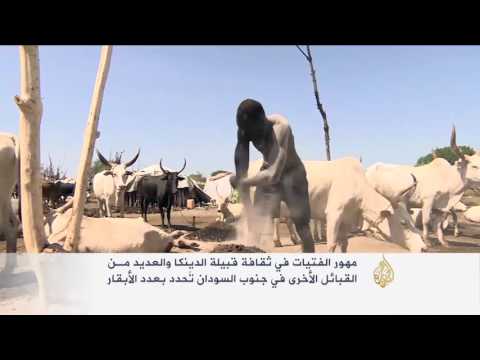 شاهد الأبقار في مجتمعات الدينكا