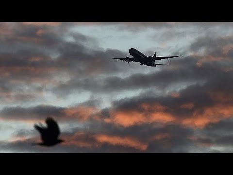 شاهد الطيران المدني في العالم يسعى لخفض انبعاث غاز الكربون