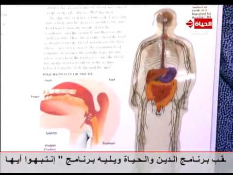 ما  تأثير الجهاز الهضمي على الحالة النفسية عند الأطفال