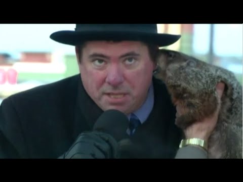 فأر يحرج عمدة في إحدى الولايات الأميركية