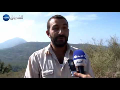 شباب قرية سلمى بن زيادة يعودون للاستثمار