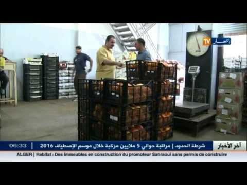 شاهد جدولة ديون ضرائب التجار