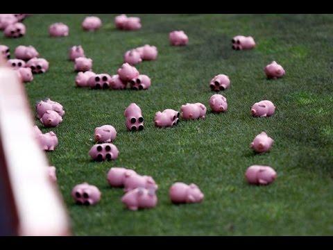 الخنازير الصغيرة وسيلة الجماهير الإنجليزية للاعتراض على سياسة النادي