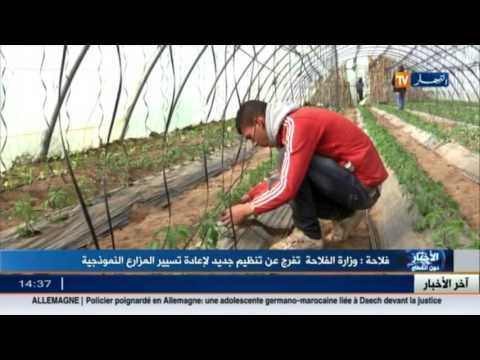 وزارة الفلاحة الجزائرية تعلن عن تنظيم جديد