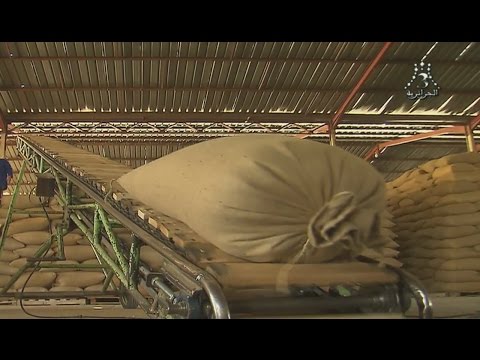 شاهد توزيع البذور والأسمدة ومرافقة الفلاحين