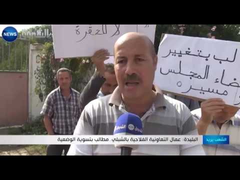 شاهد عمال التعاونية الفلاحية في الشبلي