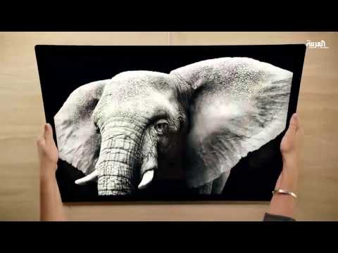 مايكروسوفت تطلق جهازها الجديد all in one المكتبي