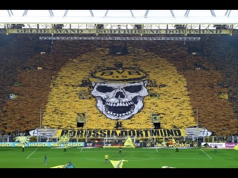 شاهد أرقام الملاعب تعتبر أن الجمهور هو اللاعب رقم 1