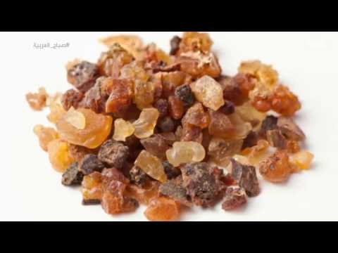 بالفيديو تعرّف على صمغ المرة وفوائده