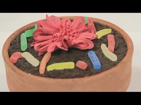 شاهد طريقة عمل ديرت كيك