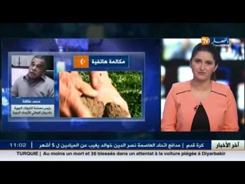 رئيس مصلحة التنبؤات الجوية يكشف موعد هطول الأمطار على المناطق الشمالية