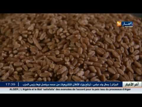 شاهد آخر أخبار المال والأعمال في الموجز الاقتصادي