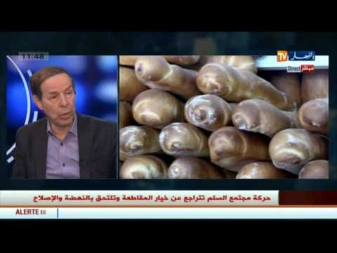 رئيس الهيئة الوطنية لترقية الصحة يكشف عن مخالفات خطيرة