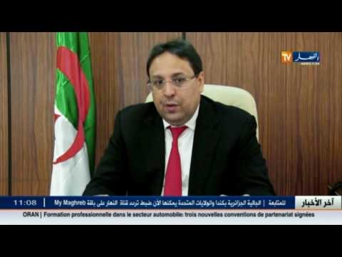 شاهد شروط الدعم الموجّه بشكل المنظّم