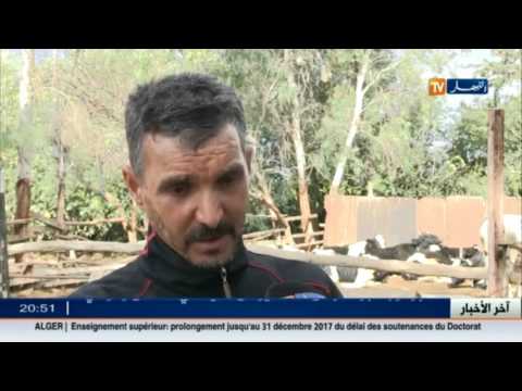 تفسيرات منتجي الحليب لندرة هذه المادة