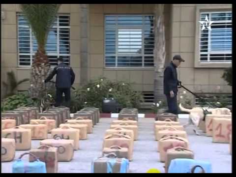 الأمن المغربي يحبط عملية تهريب مواد مخدرة