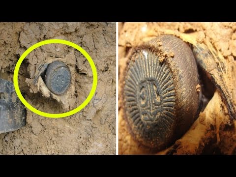 شاهد احذر أن تلمس عقربًا مخادعًا قد تظنّه عملات نادرة