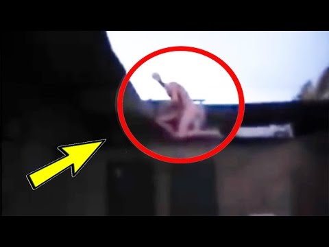 بالفيديو  مخلوقات غريبة لم يجد العلماء تفسيرًا لوجودها