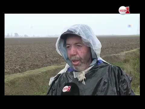 شاهد التساقطات المطرية تنعش آمال المزارعين