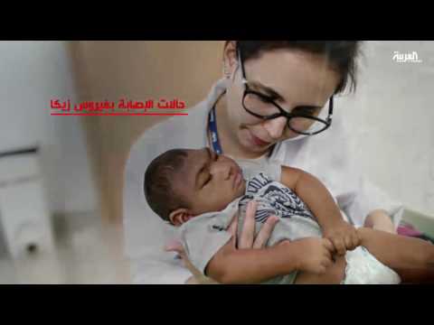 شاهد دعوات لمعايير عالمية لتشخيص فيروس زيكا