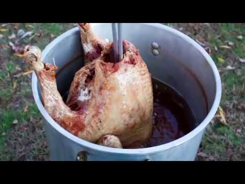 شاهد أسباب انفجار ديوك عيد الشكر عند طهوها