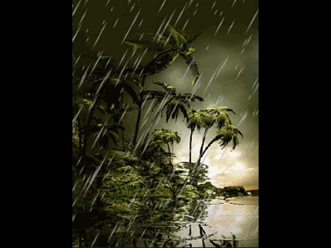 تعرف على صيغة الدعاء المقبولة عندما تنزل الأمطار