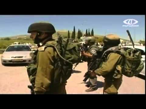 عصابات من المستوطنين لملاحقة المواطنين