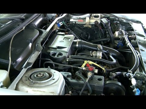 شاهد حلم يقود سيارة الزركاني نحو الدول العربية ثم العالم