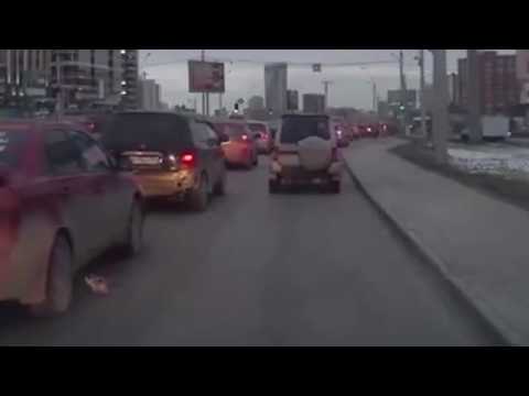 رجل ينقذ قطة من الدهس أسفل عجلات السيارات