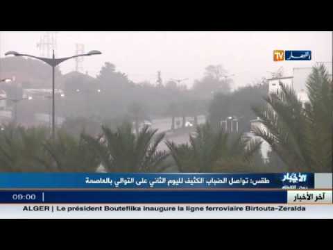 شاهد الضباب يخيم على شوارع العاصمة الجزائرية