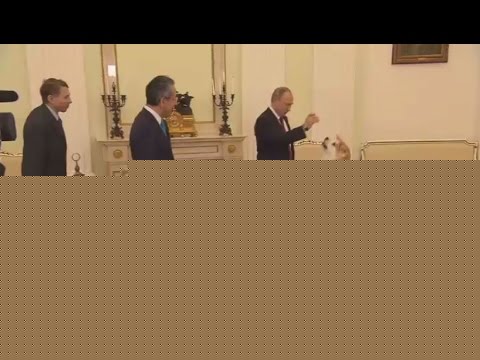 كلبة الرئيس بوتين تخيف الصحفيين اليابانيين