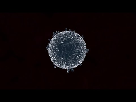 شاهد أسباب الأنفلونزا الموسمية