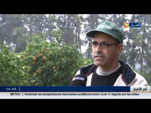 شاهد الأخبار الاقتصادية للخميس 22 كانون الأول 2016