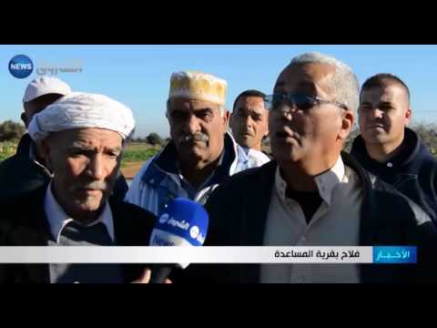 شاهد فلاحو قرية المساعدة بن باديس يطالبون باسترجاع أراضي العرش
