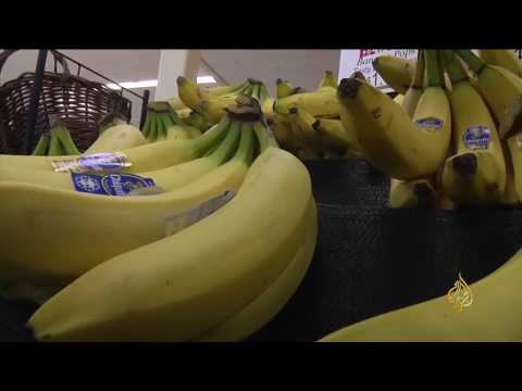 شاهد تفاصيل تغير حياتك وتكسبك وزنًا صحيًا