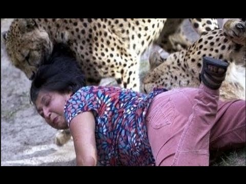 شاهد أخطر هجمات الحيوانات المفترسة على البشر