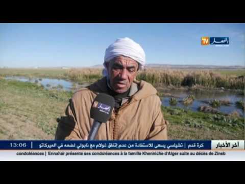 شاهد مصب المياه القذرة يهدّد الأراضي الفلاحية الخصبة بالضلعة