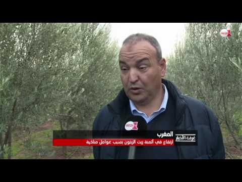 أسباب ارتفاع أسعار زيت الزيتون في المغرب