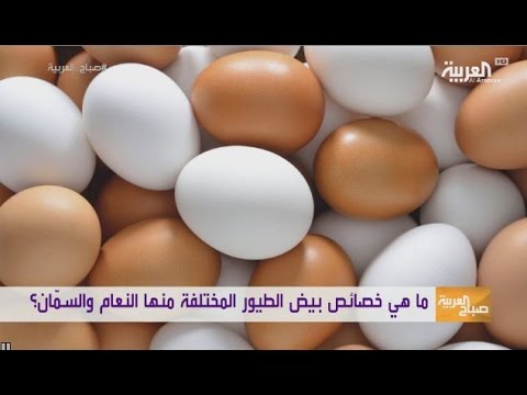 تعرف على خصائص بيض النعام والسمان